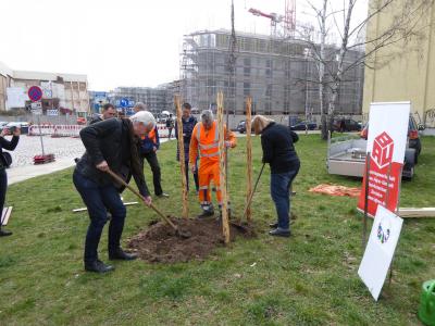 Erde auffüllen Erde auffüllen