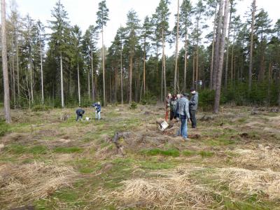 social Media aus dem Wald social Media aus dem Wald