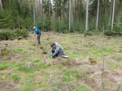 Team Tanne Team Tanne